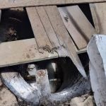 Heboh! Mayat Satu Keluarga di Lampung Ditemukan dalam Septic Tank
