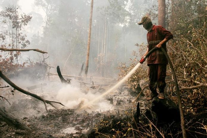 Ilustrasi kebakaran lahan/hutan di Indonesia. Foto: DenY Krisbiyantoro/Wikimedia Commons (CC BY-SA 4.0). Bukan dari peristiwa dalam berita.